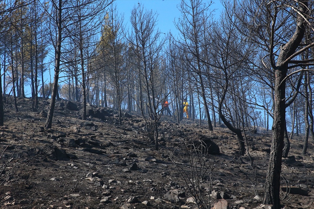Hatay'ın merkez Antakya ilçesinde ormanlık alanda çıkan yangın kontrol altına alındı.