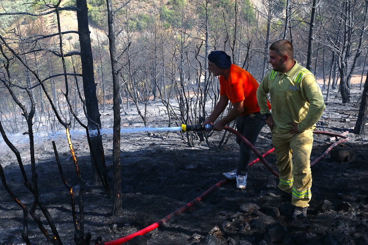 Hatay'ın merkez Antakya ilçesinde ormanlık alanda çıkan yangın kontrol altına alındı.