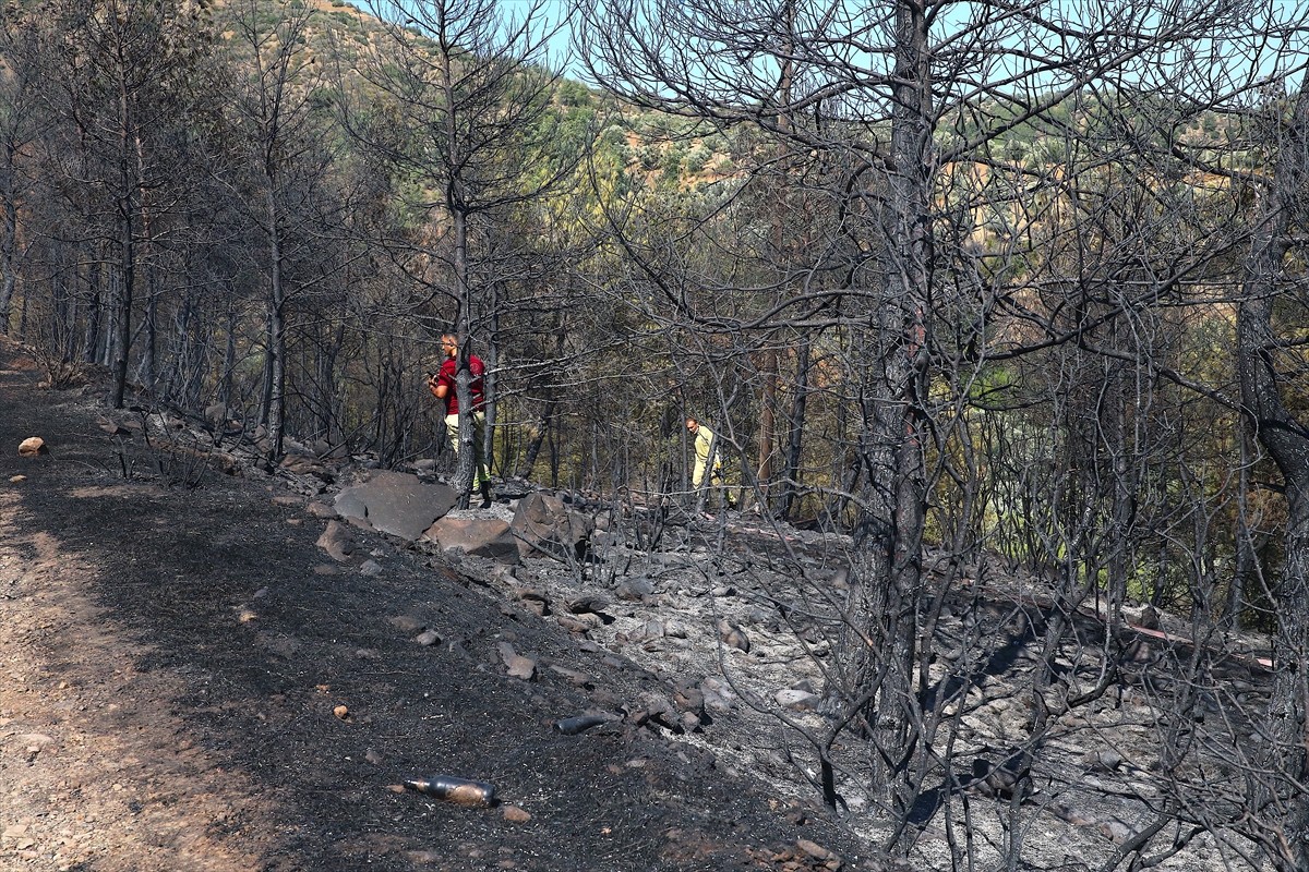 Hatay'ın merkez Antakya ilçesinde ormanlık alanda çıkan yangın kontrol altına alındı.