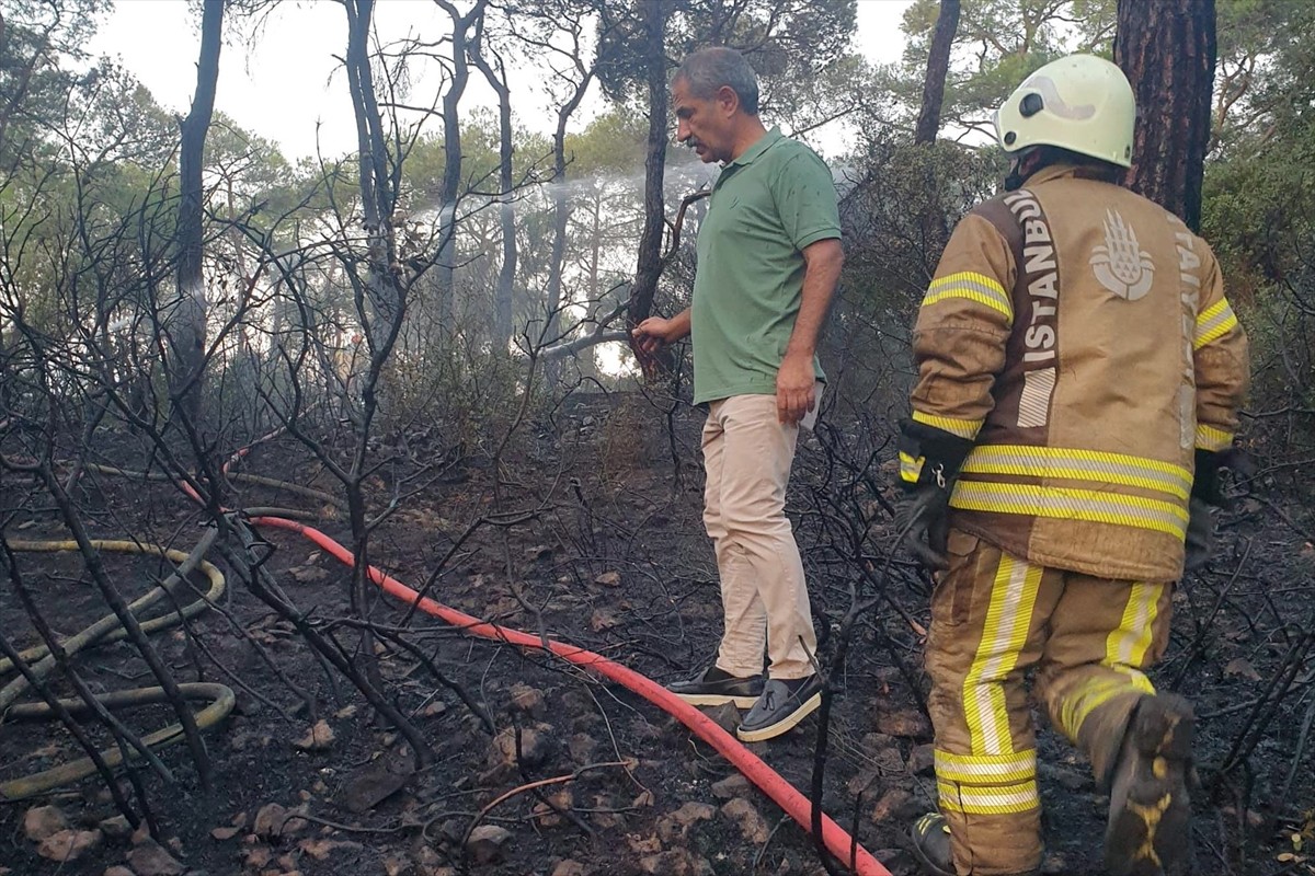 Heybeliada'da ormanlık alanda çıkan yangın itfaiye ekiplerinin müdahalesiyle kontrol altına...