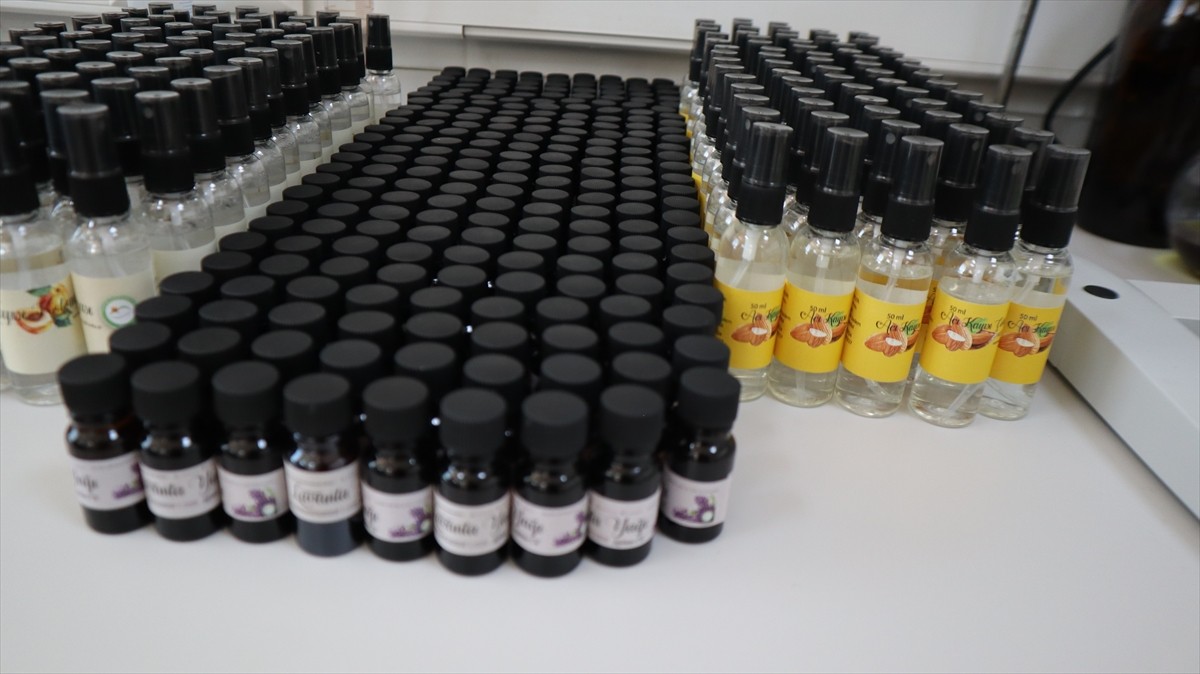 Iğdır Üniversitesi laboratuvarlarında yöreden yetişen tarımsal ve endemik türler ile Ağır Dağı...