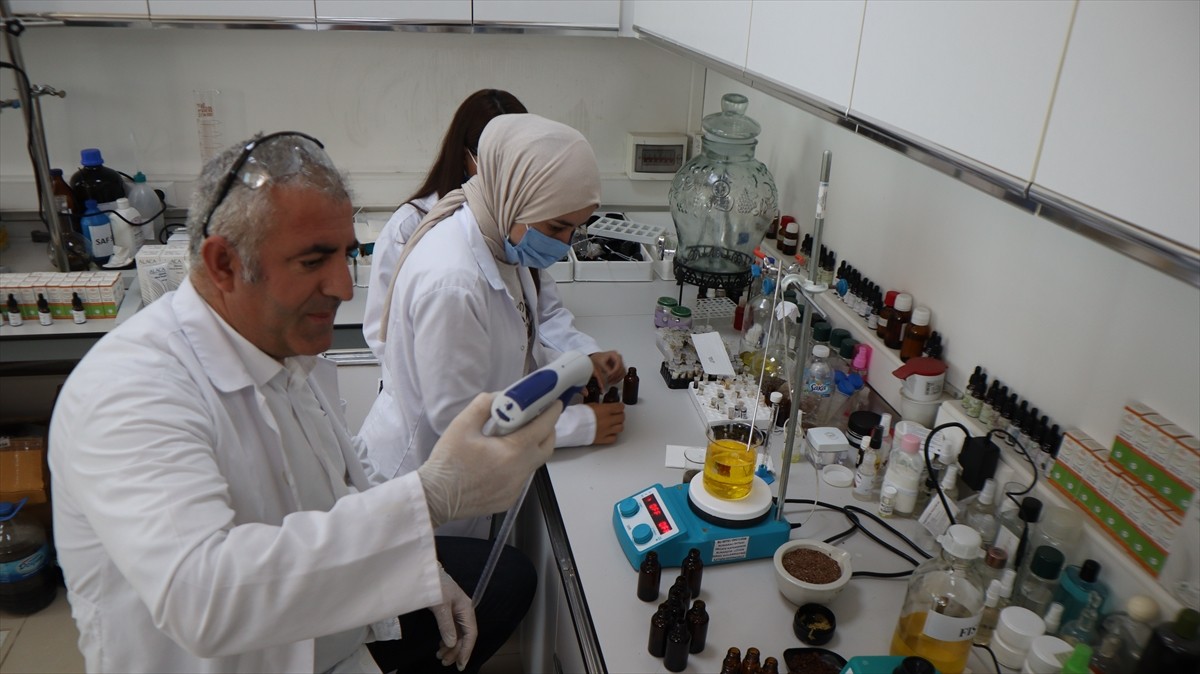 Iğdır Üniversitesi laboratuvarlarında yöreden yetişen tarımsal ve endemik türler ile Ağır Dağı...