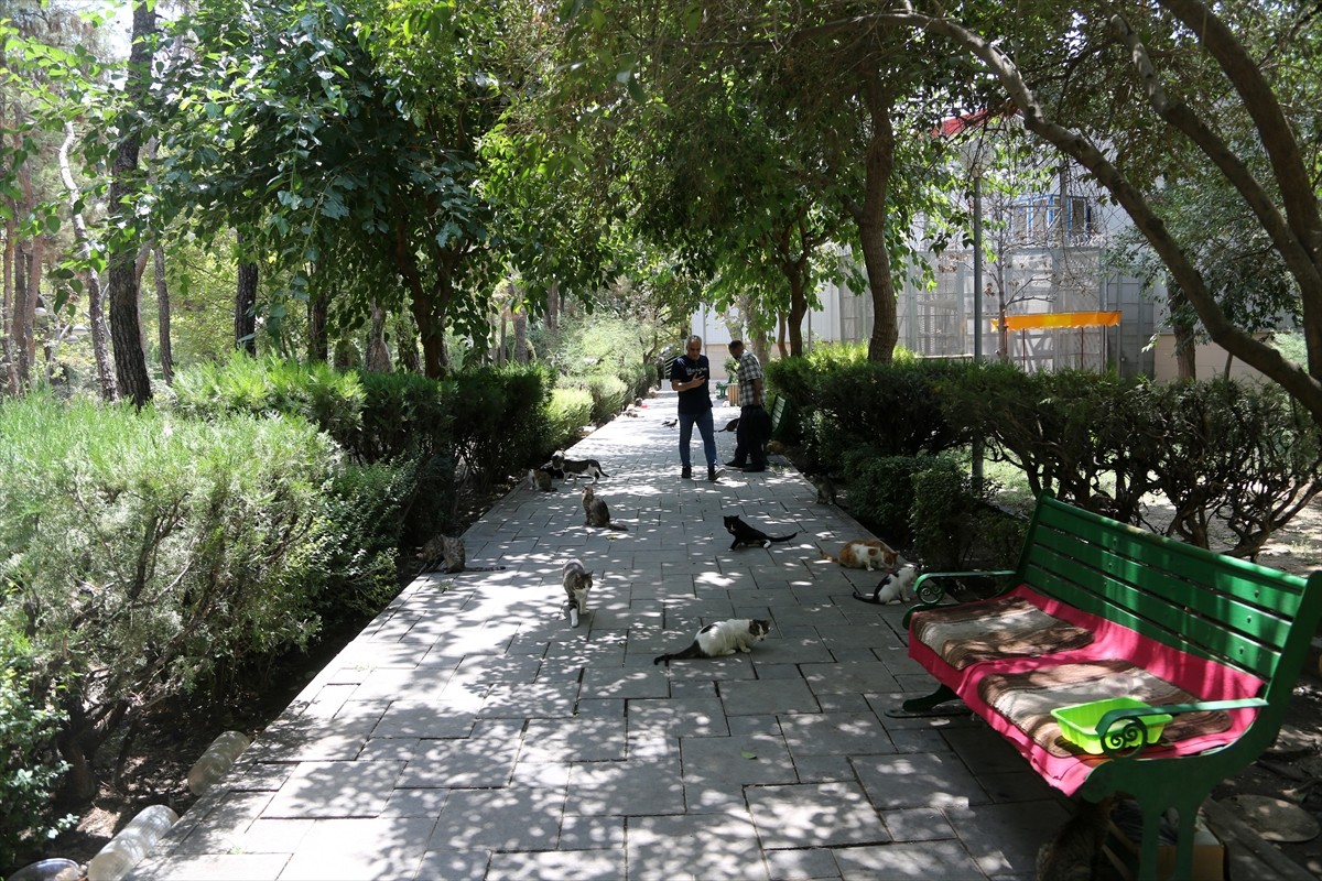 İran’ın başkenti Tahran’ın merkezinde yer alan kentin en eski ve en büyük parklarından Lale Parkı...