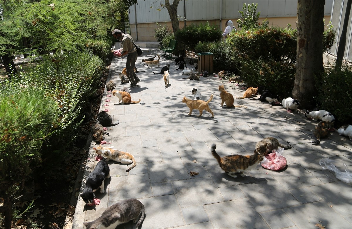 İran’ın başkenti Tahran’ın merkezinde yer alan kentin en eski ve en büyük parklarından Lale Parkı...