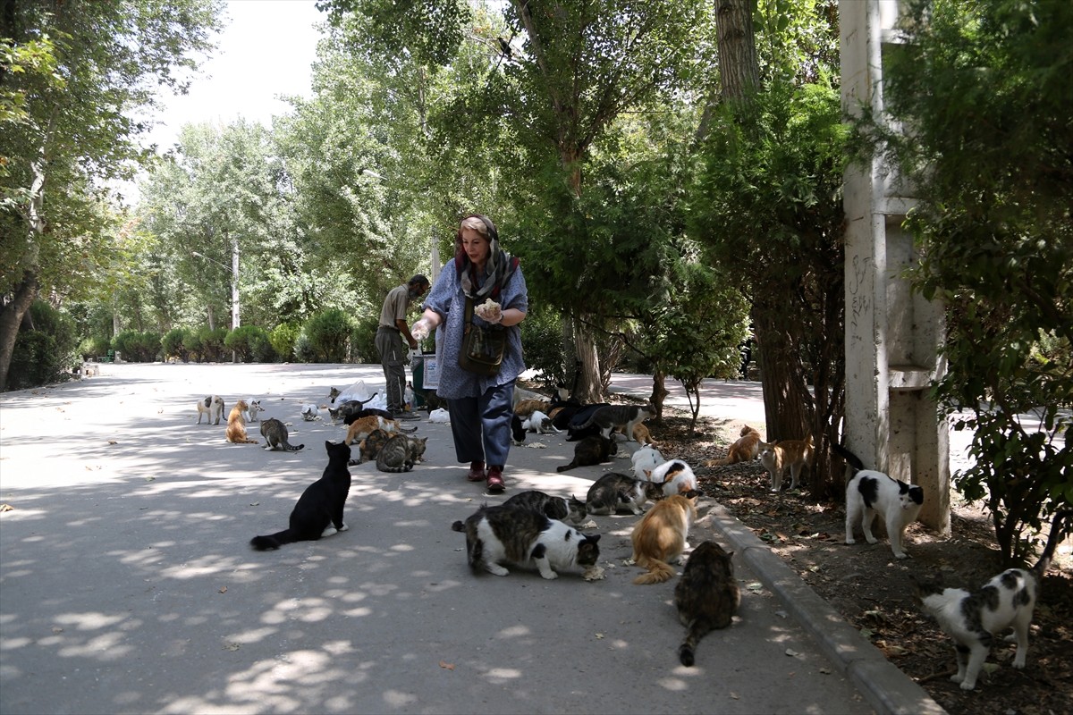 İran’ın başkenti Tahran’ın merkezinde yer alan kentin en eski ve en büyük parklarından Lale Parkı...