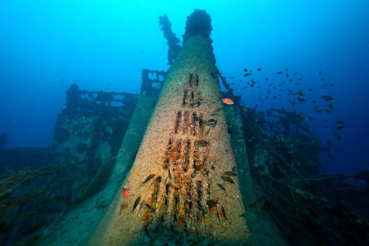 İskenderun Körfezi açıklarında, 2004 yılında taşıdığı yükle batan M/V Ulla Gemisi, su altı...