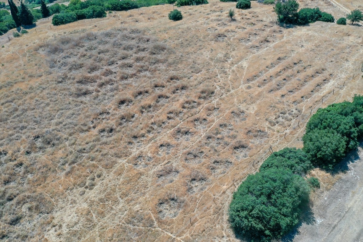 İzmir'de kuraklığın etkilerini azaltmak amacıyla araziye açılan hilal ve baklava şeklindeki...