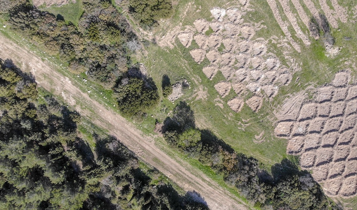 İzmir'de kuraklığın etkilerini azaltmak amacıyla araziye açılan hilal ve baklava şeklindeki...