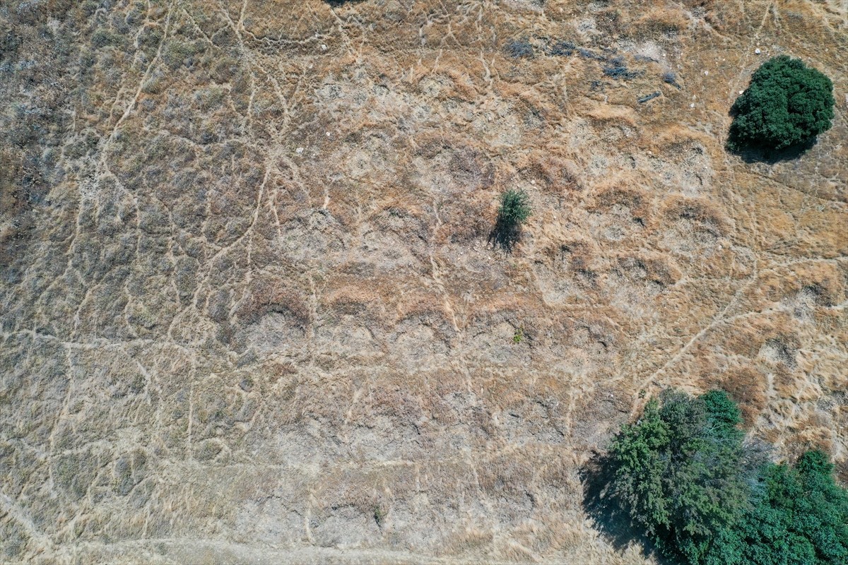 İzmir'de kuraklığın etkilerini azaltmak amacıyla araziye açılan hilal ve baklava şeklindeki...