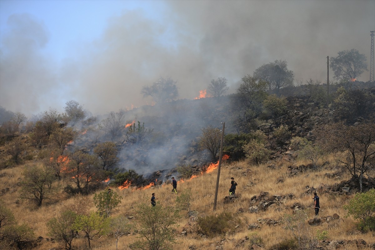 Kayseri'nin merkez Melikgazi ilçesinde Hasan Dağı eteklerinde bulunan otluk alanda çıkan yangına...