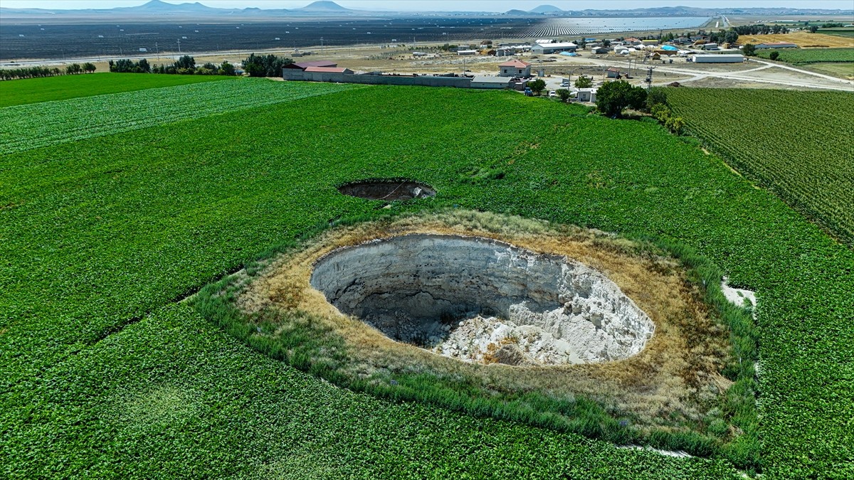 Konya'nın Karapınar ilçesine bağlı Seyit Hacı Yaylası yakınında bulunan pancar tarlasında, akşam...