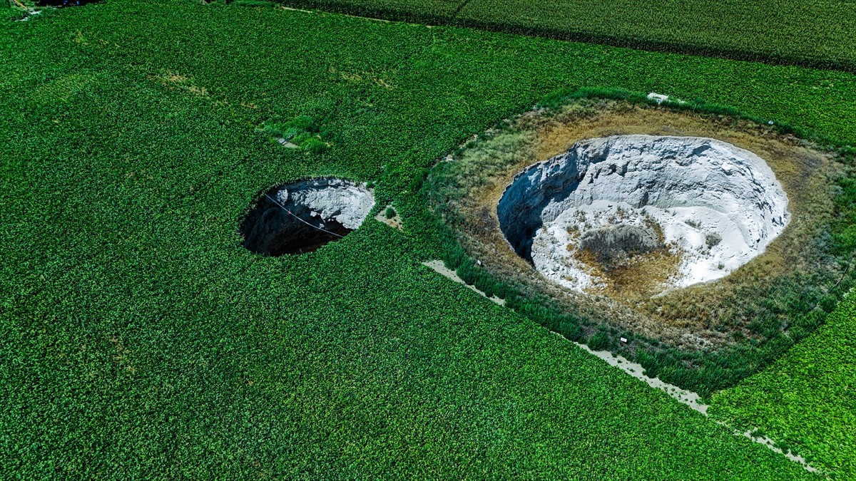 Konya'nın Karapınar ilçesine bağlı Seyit Hacı Yaylası yakınında bulunan pancar tarlasında, akşam...