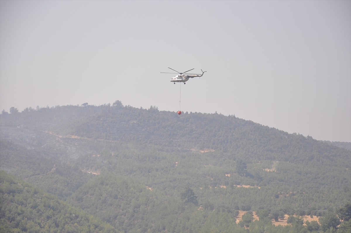 Manisa'nın Gördes ilçesinde 14 Ağustos'ta başlayan, Salihli ve Gölmarmara ilçelerine ulaşan orman...