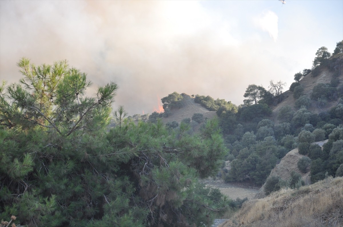 Manisa'nın Salihli ilçesinde ormanlık alanda çıkan yangına havadan ve karadan müdahale devam...