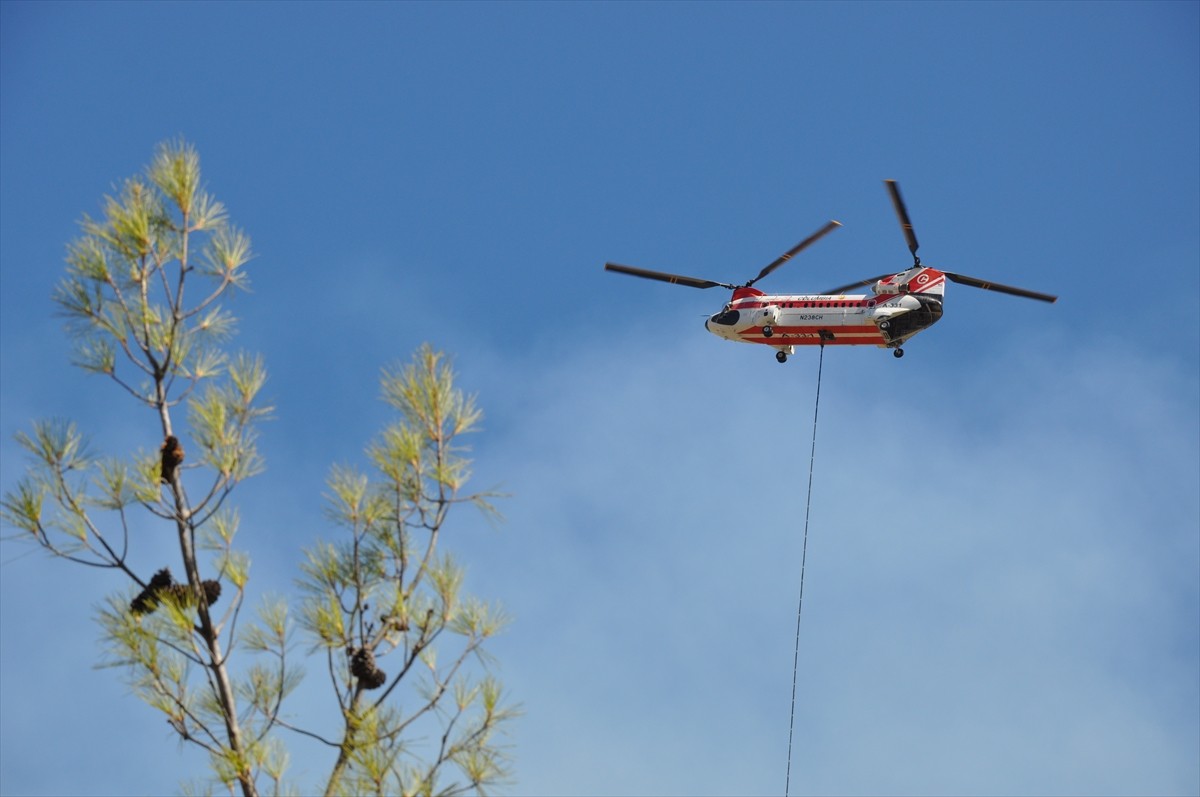 Mersin'in Silifke ilçesinde ormanlık alanda çıkan yangın, havadan ve karadan müdahaleyle kontrol...