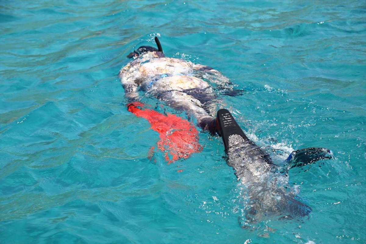 Muğla'nın Bodrum ilçesinde gönüllü dalgıçlar deniz dibi temizliğinin bu sezonki çalışmasını...