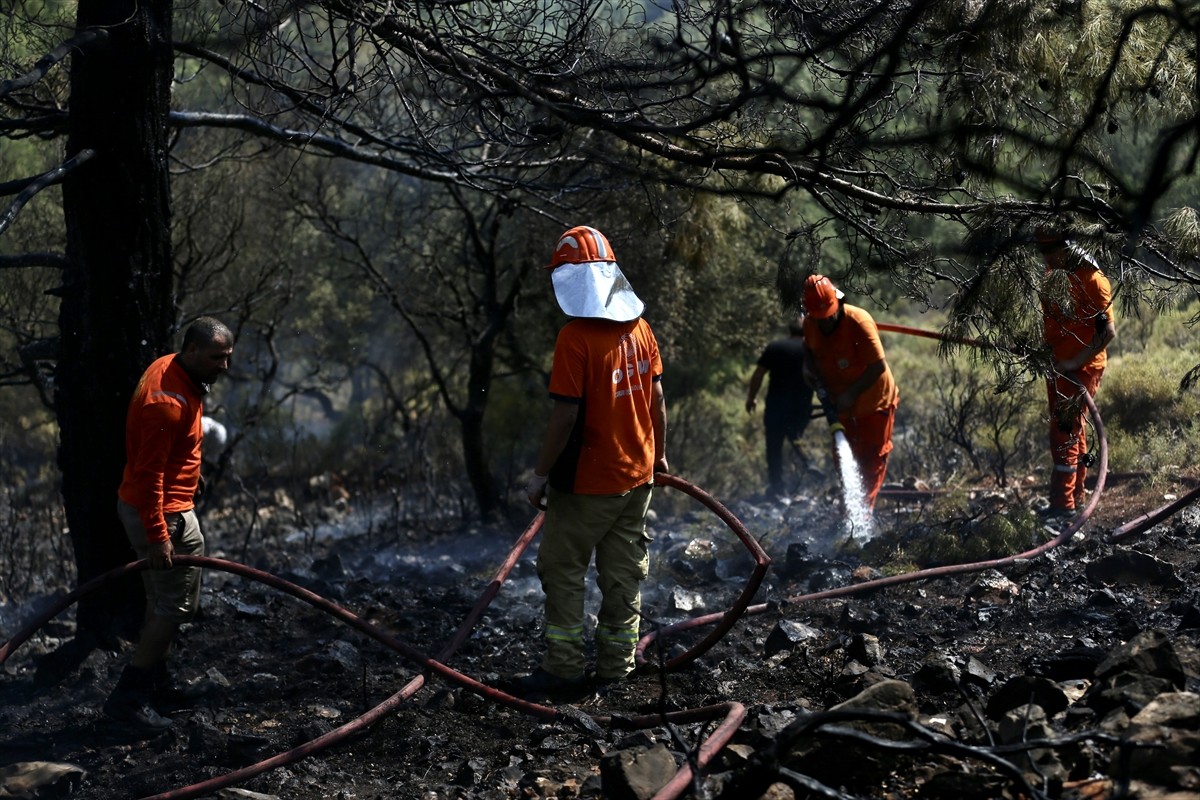 Muğla'nın Fethiye ilçesinde ormanlık alanda çıkan yangın havadan ve karadan müdahaleyle...
