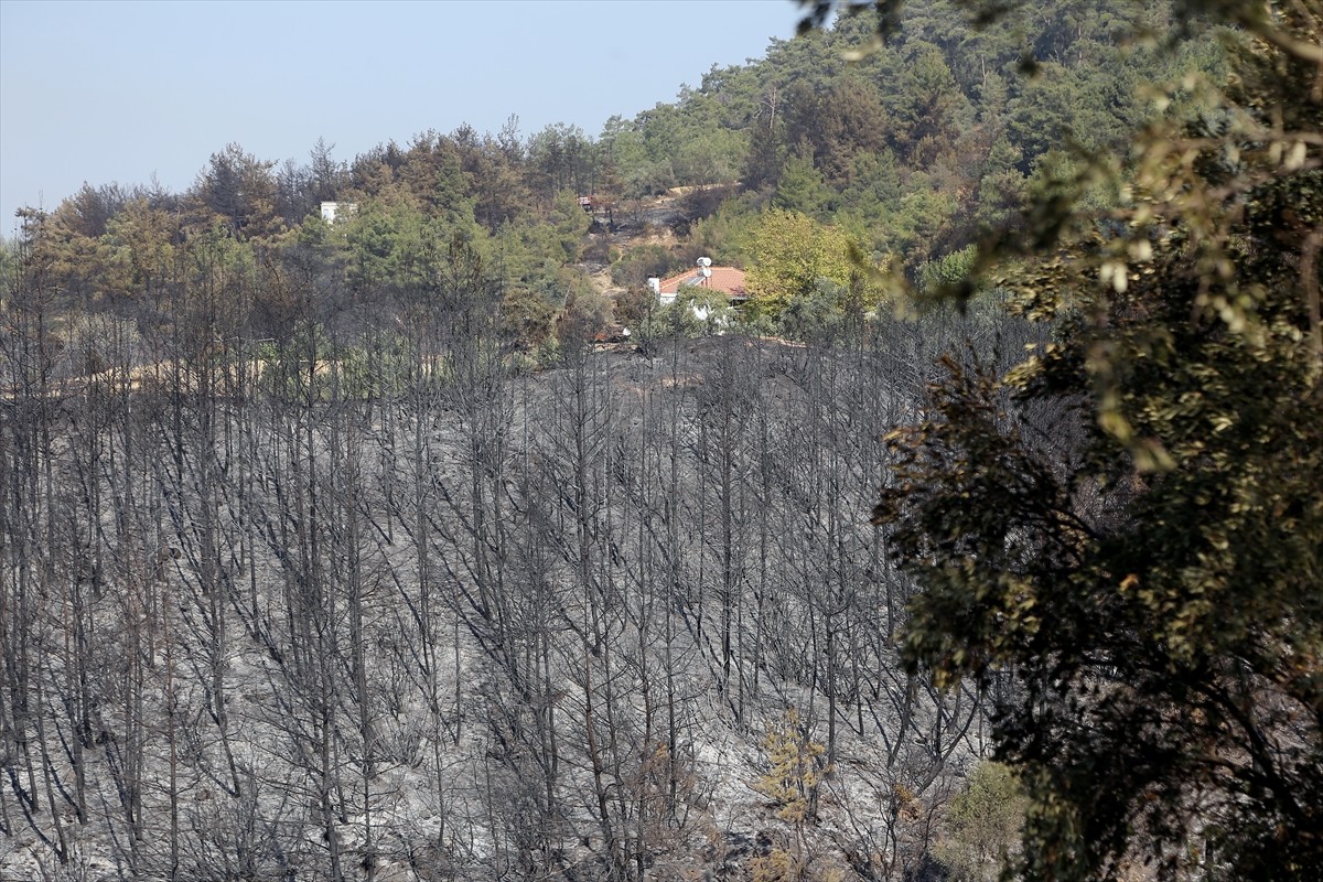 Muğla'nın Milas ilçesinde çıkan orman yangını kara ve hava ekiplerinin müdahalesiyle kontrol...