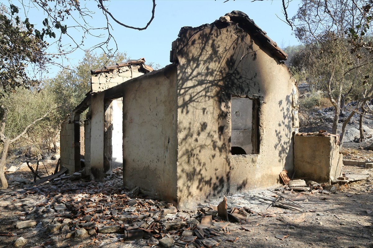 Muğla'nın Milas ilçesinde çıkan orman yangını kara ve hava ekiplerinin müdahalesiyle kontrol...