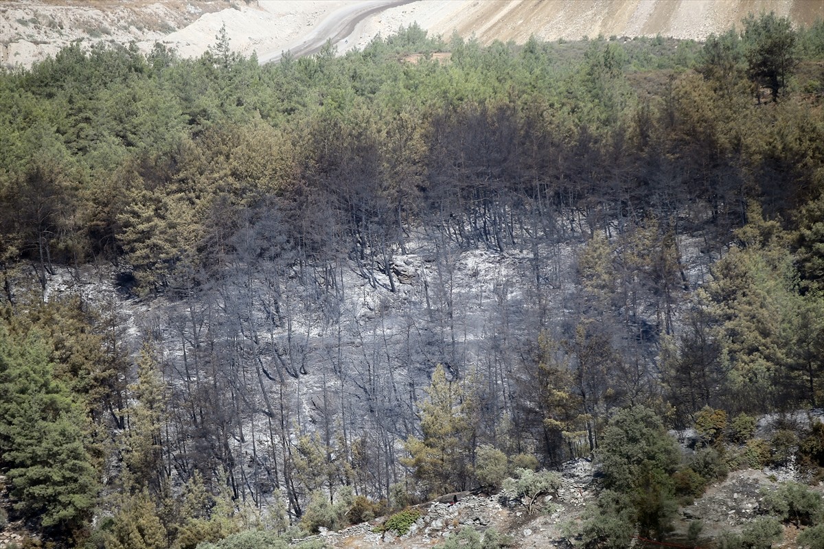 Muğla'nın Milas ilçesinde çıkan orman yangını kara ve hava ekiplerinin müdahalesiyle kontrol...