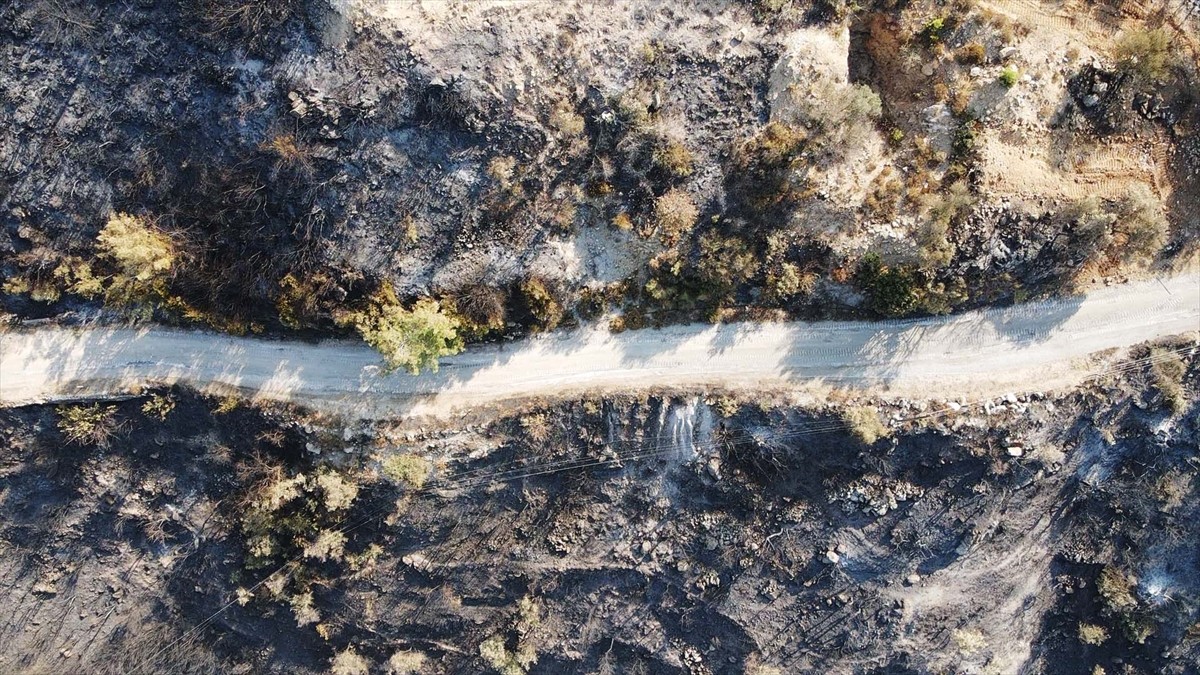 Muğla'nın Milas ilçesinde çıkan orman yangını kısmen kontrol altına alındı. Yangında yaklaşık 60...