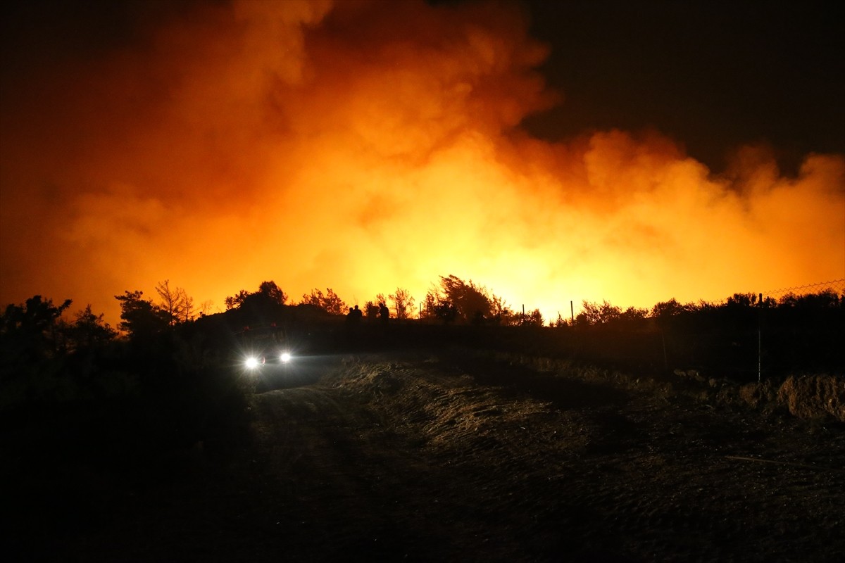 Muğla'nın Milas ilçesinde çıkan orman yangınına, havanın kararmasıyla karadan müdahale devam...