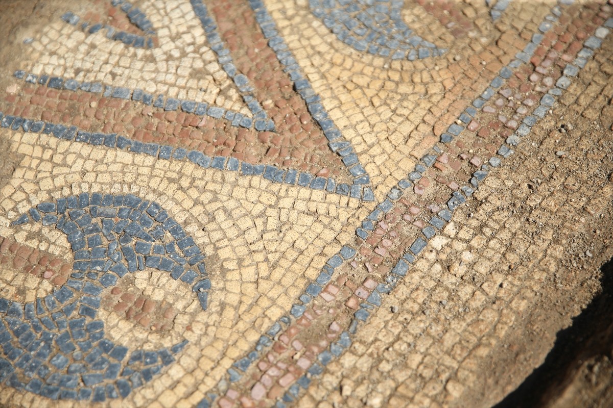 Ordu'da kazı çalışmaları sırasında Bizans dönemine ait "in-situ zemin mozaiği" bulunan Aziz...