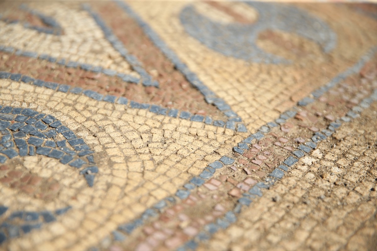 Ordu'da kazı çalışmaları sırasında Bizans dönemine ait "in-situ zemin mozaiği" bulunan Aziz...