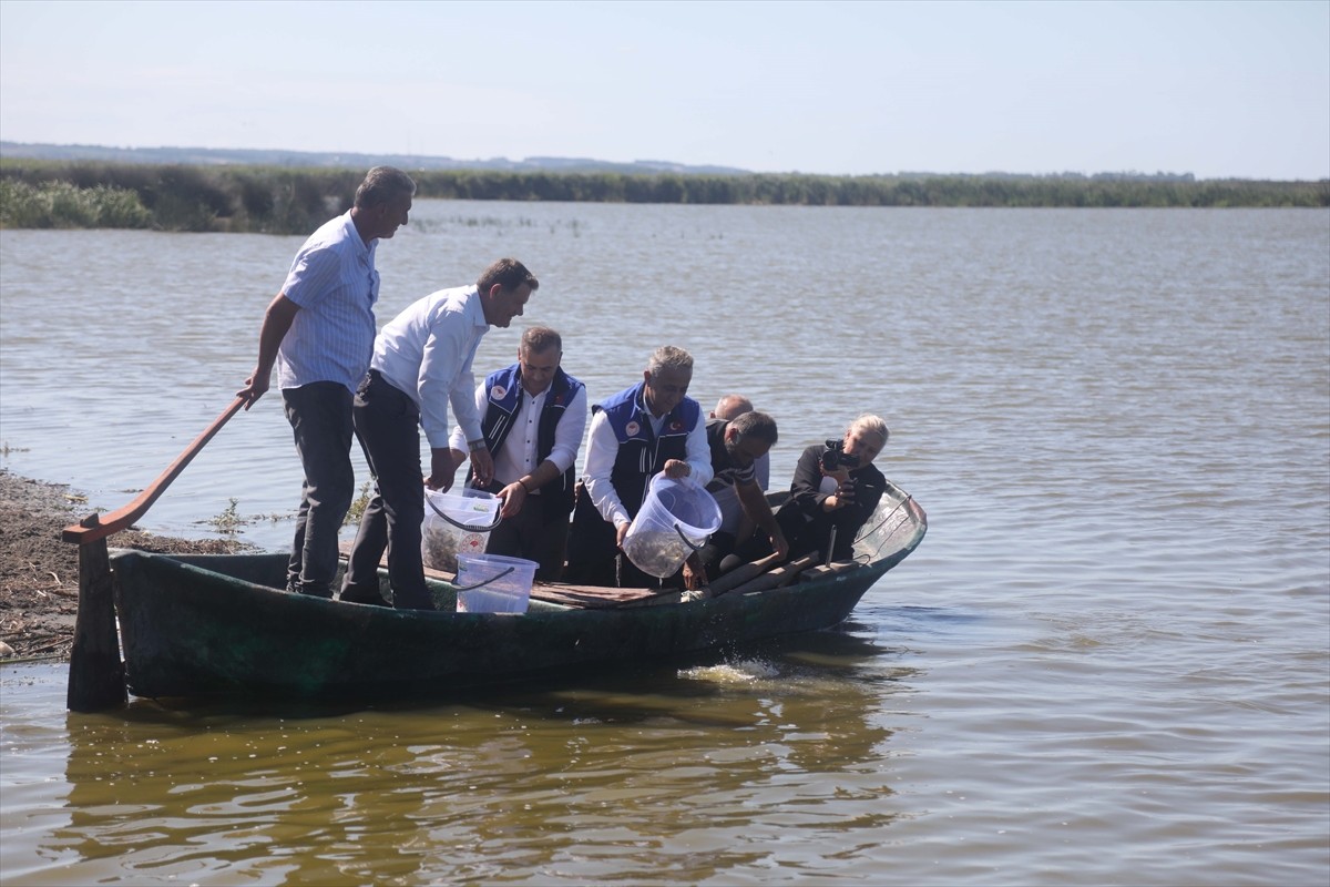 Samsun Tarım ve Orman Müdürlüğü, İç Su Kaynaklarının Balıklandırılması Projesi kapsamında göl ve...