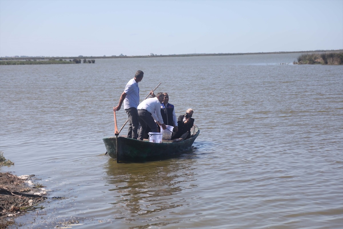 Samsun Tarım ve Orman Müdürlüğü, İç Su Kaynaklarının Balıklandırılması Projesi kapsamında göl ve...