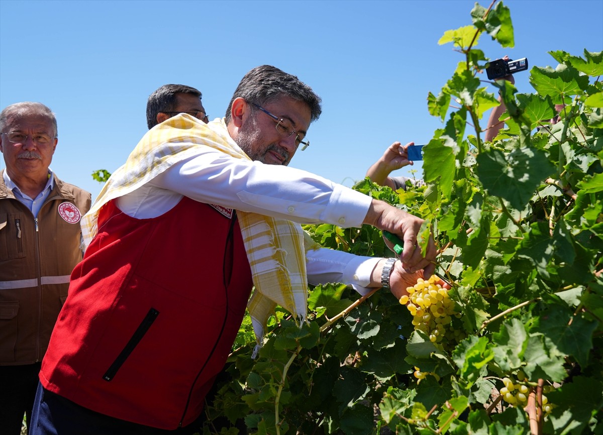 Tarım ve Orman Bakanı İbrahim Yumaklı, Manisa'nın Saruhanlı ilçesine bağlı Hacırahmanlı...
