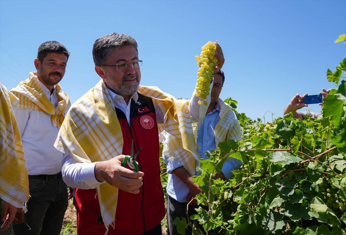 Tarım ve Orman Bakanı İbrahim Yumaklı, Manisa'nın Saruhanlı ilçesine bağlı Hacırahmanlı...