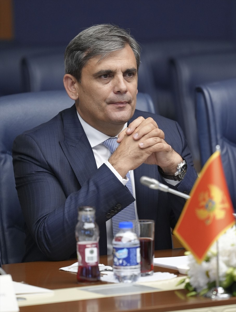 TBMM Dışişleri Komisyonu Başkanı ve AK Parti Ankara Milletvekili Fuat Oktay (solda), Karadağ...