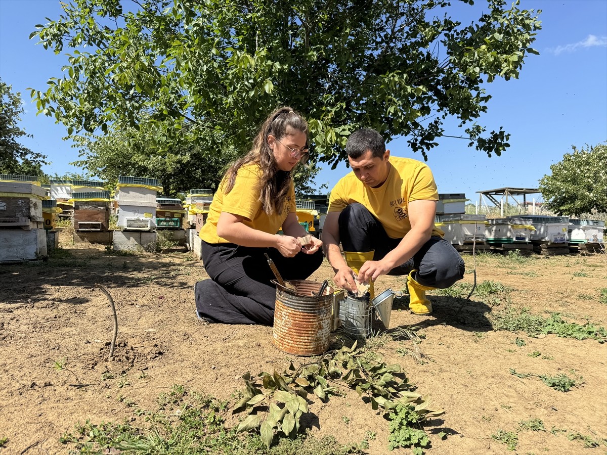 Tekirdağ’da devletten aldığı destekle arıcılığa başlayan Havva Tekin (solda), 2 yılda kovan...