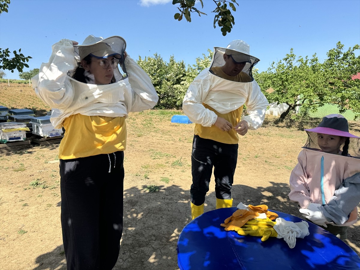 Tekirdağ’da devletten aldığı destekle arıcılığa başlayan Havva Tekin (solda), 2 yılda kovan...