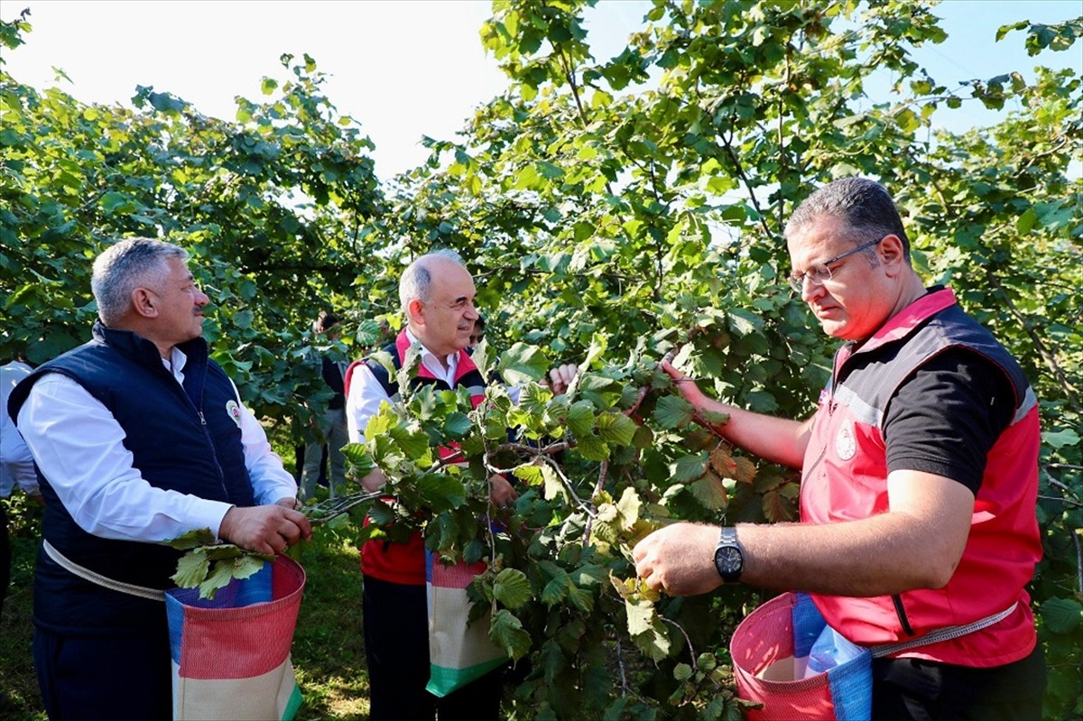 Ticaret Bakanlığı Doğu Karadeniz Bölge Müdürlüğünce oluşturulan komisyon tarafından alınan karara...