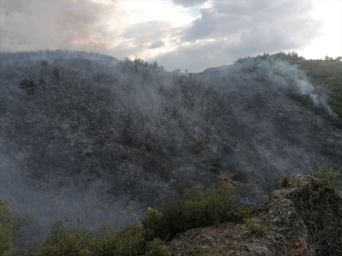 Tokat'ın Erbaa ilçesinde ormanlık alanda çıkan yangının Orman Bölge Müdürlüğü ve itfaiye...