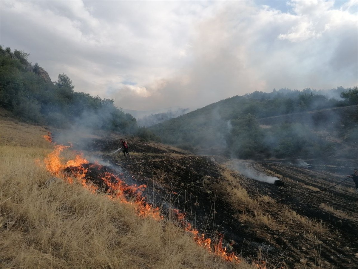 Tokat'ın Erbaa ilçesinde ormanlık alanda çıkan yangının Orman Bölge Müdürlüğü ve itfaiye...