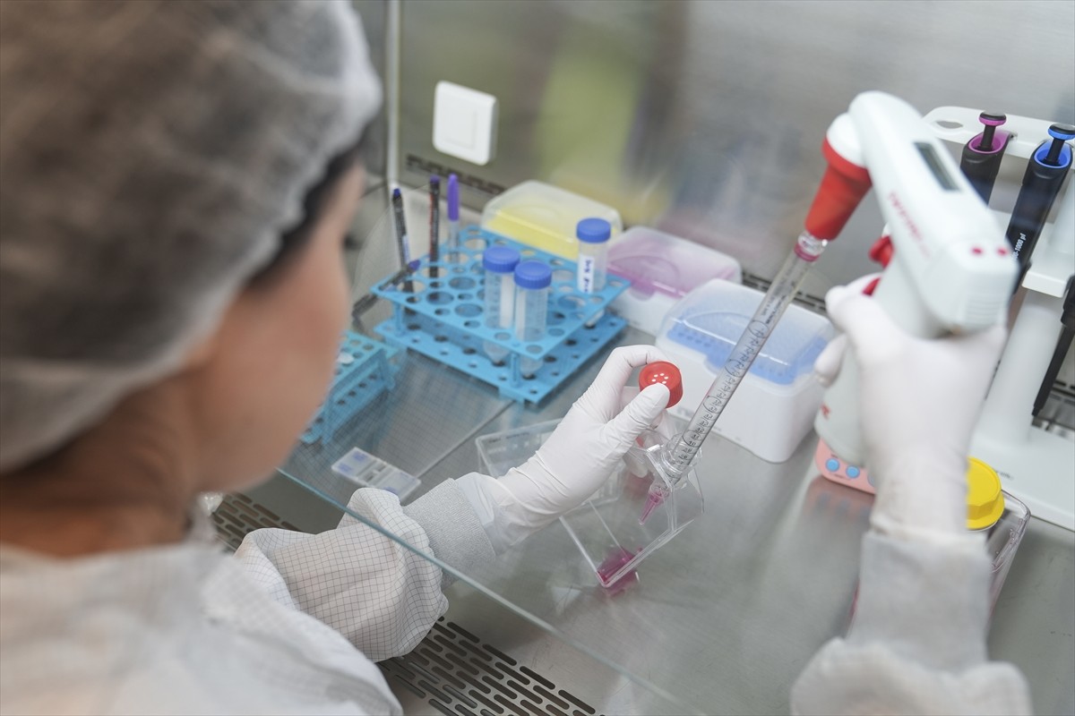 TÜBİTAK desteğiyle ODTÜ Mikro Elektromekanik Sistemler (MEMS) Merkezi liderliğinde 19 üniversite...