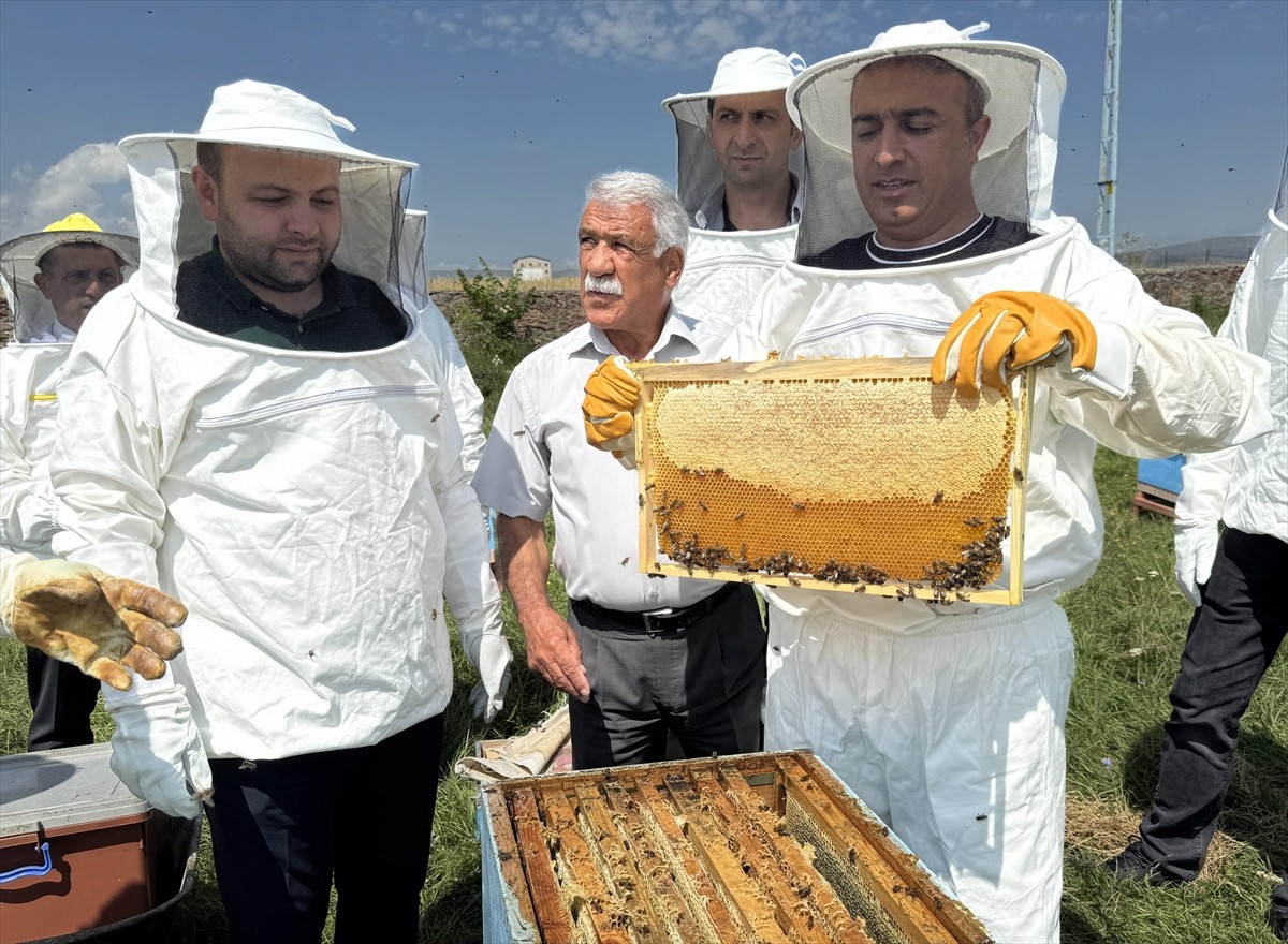 Türk Patent ve Marka Kurumunca coğrafi işaretle tescillenen "Ardahan çiçek balı"nın Kafkas Arısı...