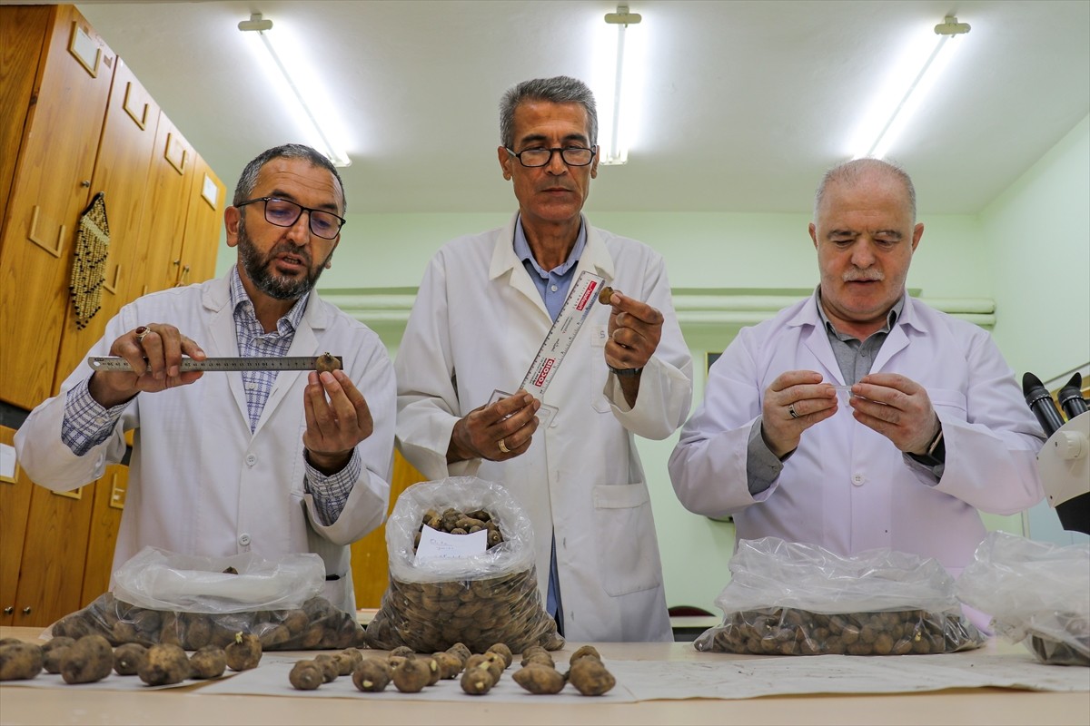 Van'ın Muradiye ilçesinde 6 şüpheli tarafından sökülerek kent dışına çıkarılmak istenirken İl...