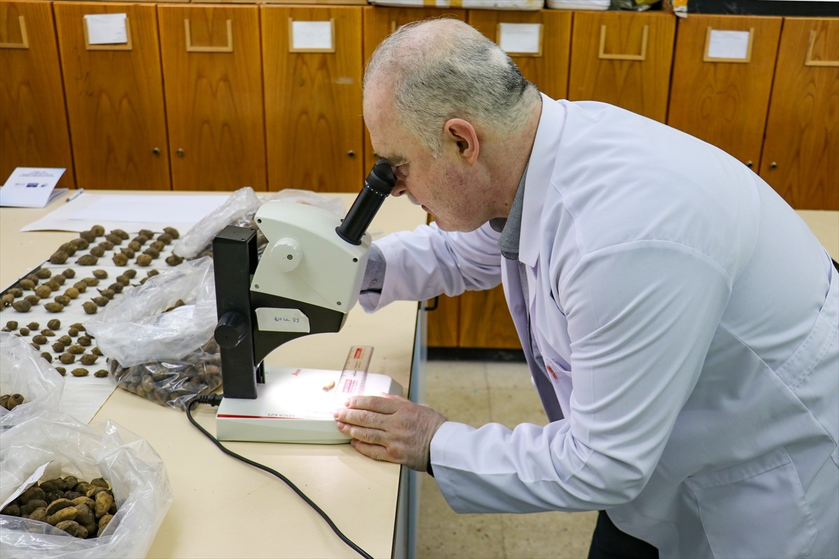Van'ın Muradiye ilçesinde 6 şüpheli tarafından sökülerek kent dışına çıkarılmak istenirken İl...