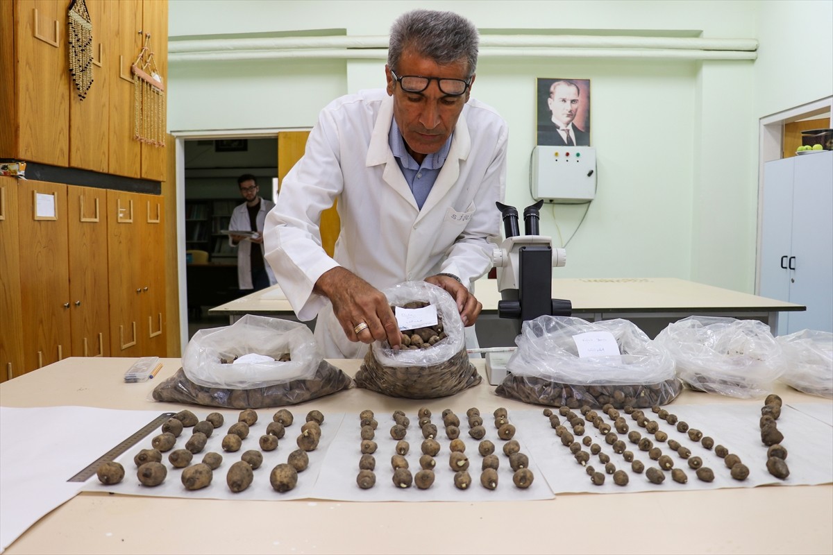 Van'ın Muradiye ilçesinde 6 şüpheli tarafından sökülerek kent dışına çıkarılmak istenirken İl...