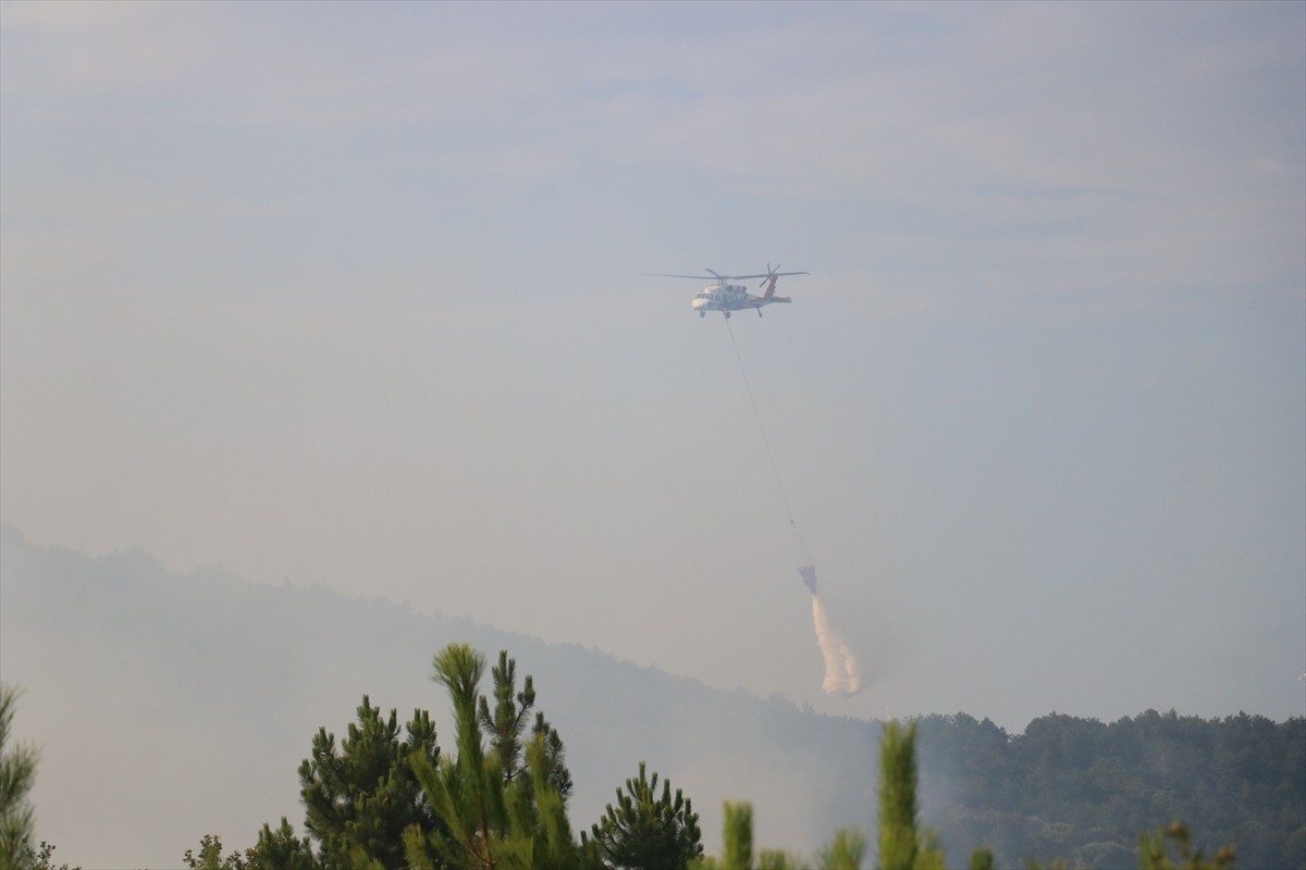 Yalova'nın Armutlu ilçesinde ormanlık alanda çıkan yangına havadan ve karadan müdahale edildi....