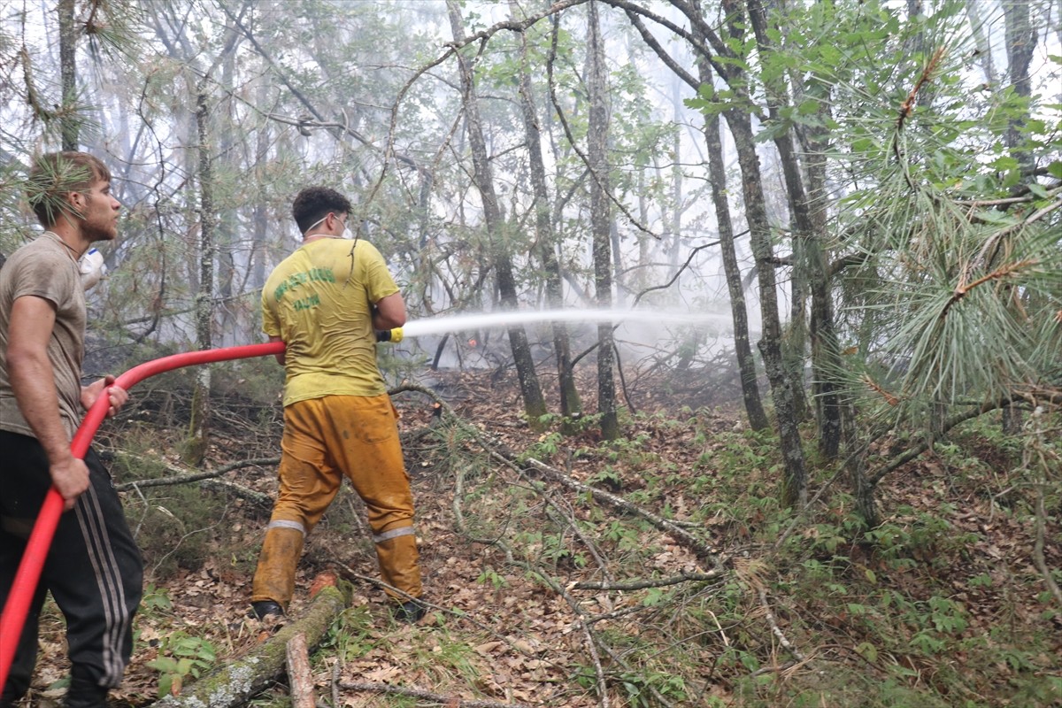 Yalova'nın Armutlu ilçesinde ormanlık alanda çıkan yangına havadan ve karadan müdahale edildi....
