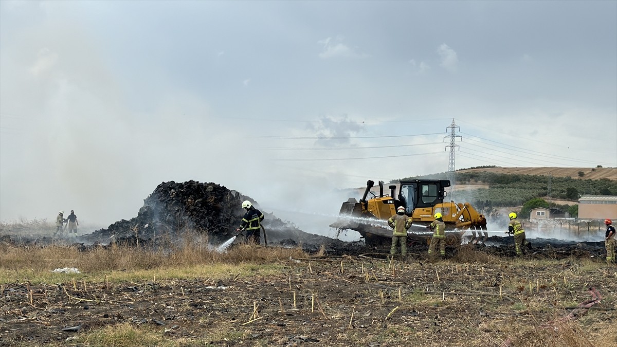 Bursa'nın Nilüfer ilçesinde otluk alanda çıkan yangın itfaiye ekiplerince söndürüldü.