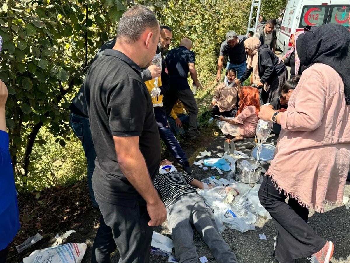 Düzce'de mevsimlik tarım işçilerini taşıyan minibüsün şarampole devrilmesi sonucu 15 kişi...