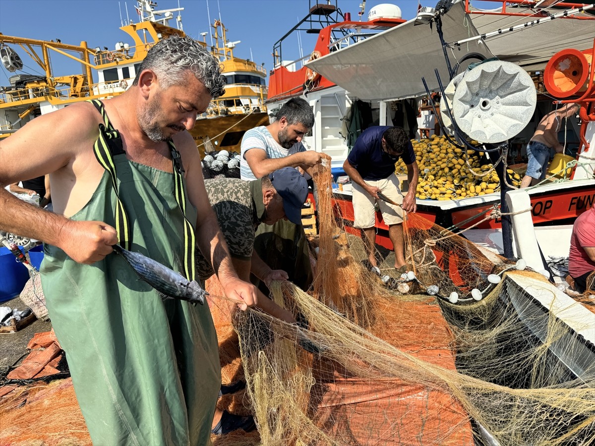 Sinop'ta av yasağının sona ermesiyle "vira bismillah" diyerek denize açılan balıkçılar, av...