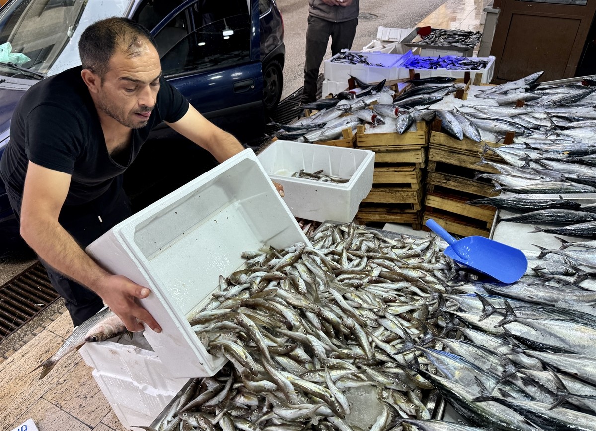  Türkiye'nin önemli balıkçılık kentleri arasında yer alan Sinop'ta tezgahlarda balık bolluğu...
