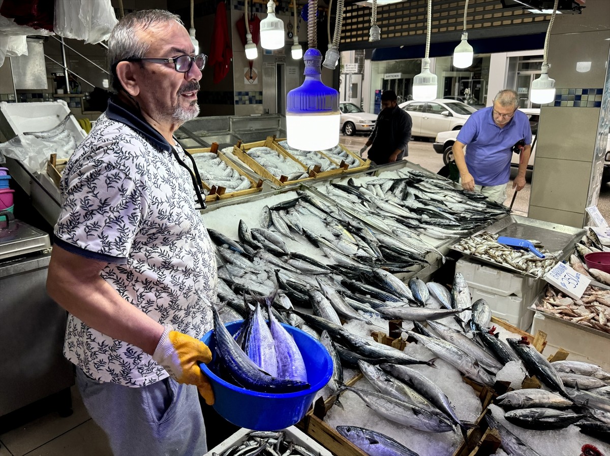  Türkiye'nin önemli balıkçılık kentleri arasında yer alan Sinop'ta tezgahlarda balık bolluğu...